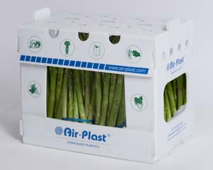 Airplast® Corrugado Plastico transporte de alimentos